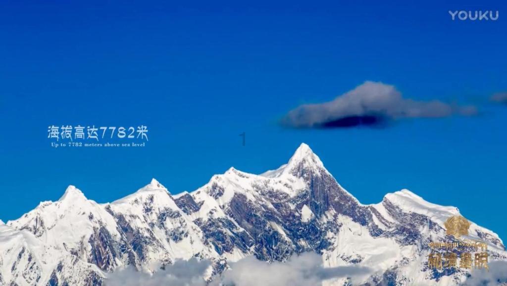 救援青龙